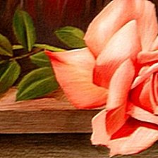 Cross stitch pattern: #100484