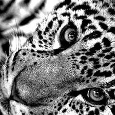 Cross stitch pattern: #100787