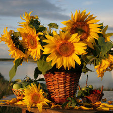 Cross stitch pattern: #101099