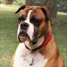 Cross stitch pattern: #101395