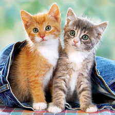 Cross stitch pattern: #102175