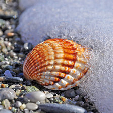 Cross stitch pattern: #102393