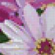 Preview of cross stitch pattern: #102498