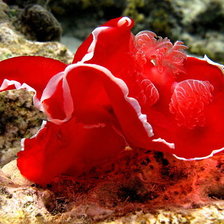 Cross stitch pattern: #104388