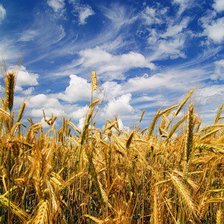 Cross stitch pattern: #104405