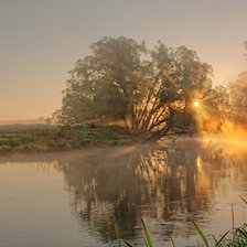 Cross stitch pattern: #104541