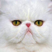 Cross stitch pattern: #104798