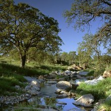 Cross stitch pattern: #105475