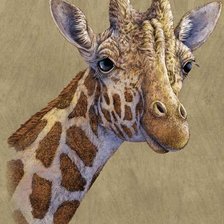 Cross stitch pattern: #105628