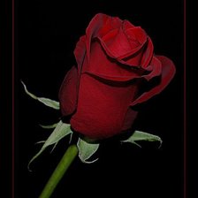 Cross stitch pattern: #105676