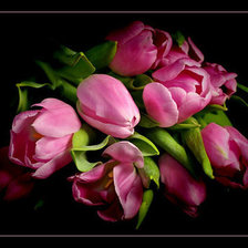 Cross stitch pattern: #105943