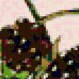 Preview of cross stitch pattern: #106103