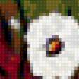 Preview of cross stitch pattern: #106529