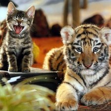 Cross stitch pattern: #107117