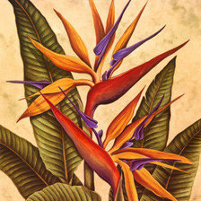 Cross stitch pattern: #110703