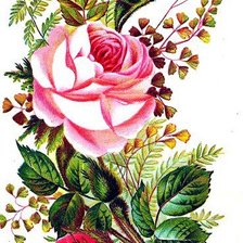 Source of cross stitch pattern: #112227