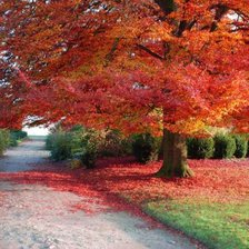 Cross stitch pattern: #115801