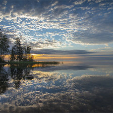 Cross stitch pattern: #116685