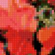 Preview of cross stitch pattern: #117657