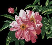 Cross stitch pattern: #118232