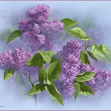 Cross stitch pattern: #122236