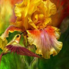 Cross stitch pattern: #122244