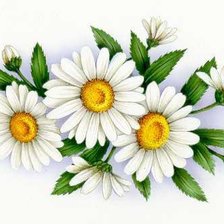 Cross stitch pattern: #124528