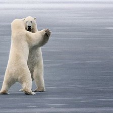 Cross stitch pattern: #126597