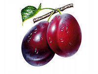 Cross stitch pattern: #127706