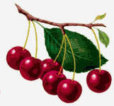 Cross stitch pattern: #127712