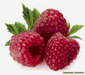 Cross stitch pattern: #127718