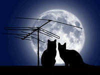 Cross stitch pattern: #127723