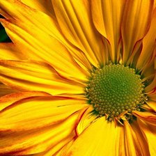 Cross stitch pattern: #133040