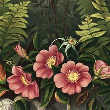 Cross stitch pattern: #133550