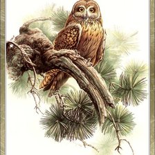 Cross stitch pattern: #134961