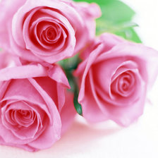 Cross stitch pattern: #136363