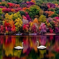 Cross stitch pattern: #137322