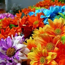 Cross stitch pattern: #137351