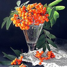 Cross stitch pattern: #137634