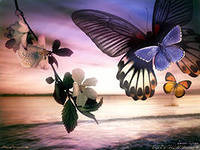 Cross stitch pattern: #138181