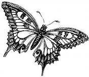 Cross stitch pattern: #138186