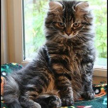 Cross stitch pattern: #139543