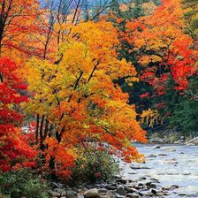 Cross stitch pattern: #140714