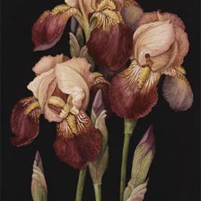 Cross stitch pattern: #141211