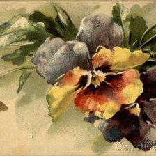 Cross stitch pattern: #141310