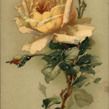 Cross stitch pattern: #141359