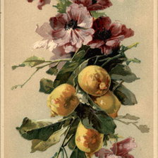 Cross stitch pattern: #141364