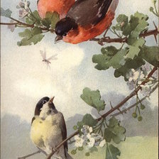 Cross stitch pattern: #141366