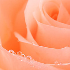 Cross stitch pattern: #141649