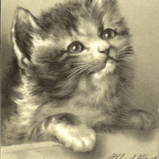 Cross stitch pattern: #143088